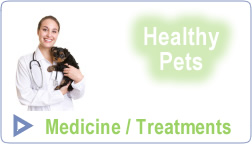 Pet supplies - medicine and pet treatment